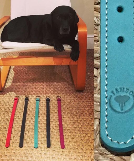 Leather Dog Collars