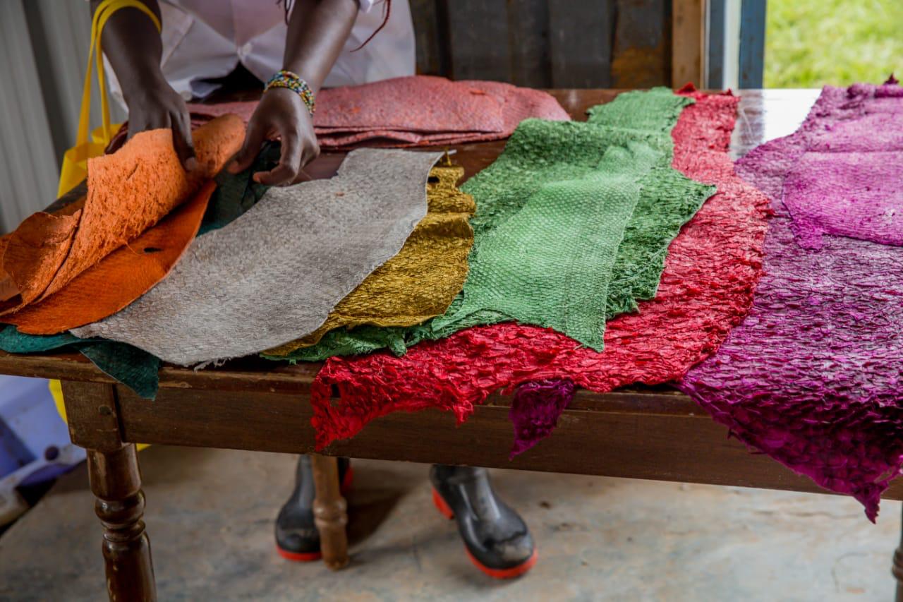 Exotic and Sustainable Fashion Using Fish Leather The Jambo Collection