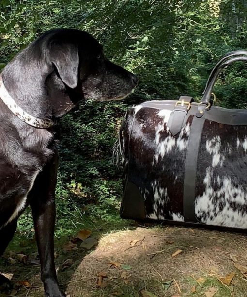 Cowhide Dog Collars